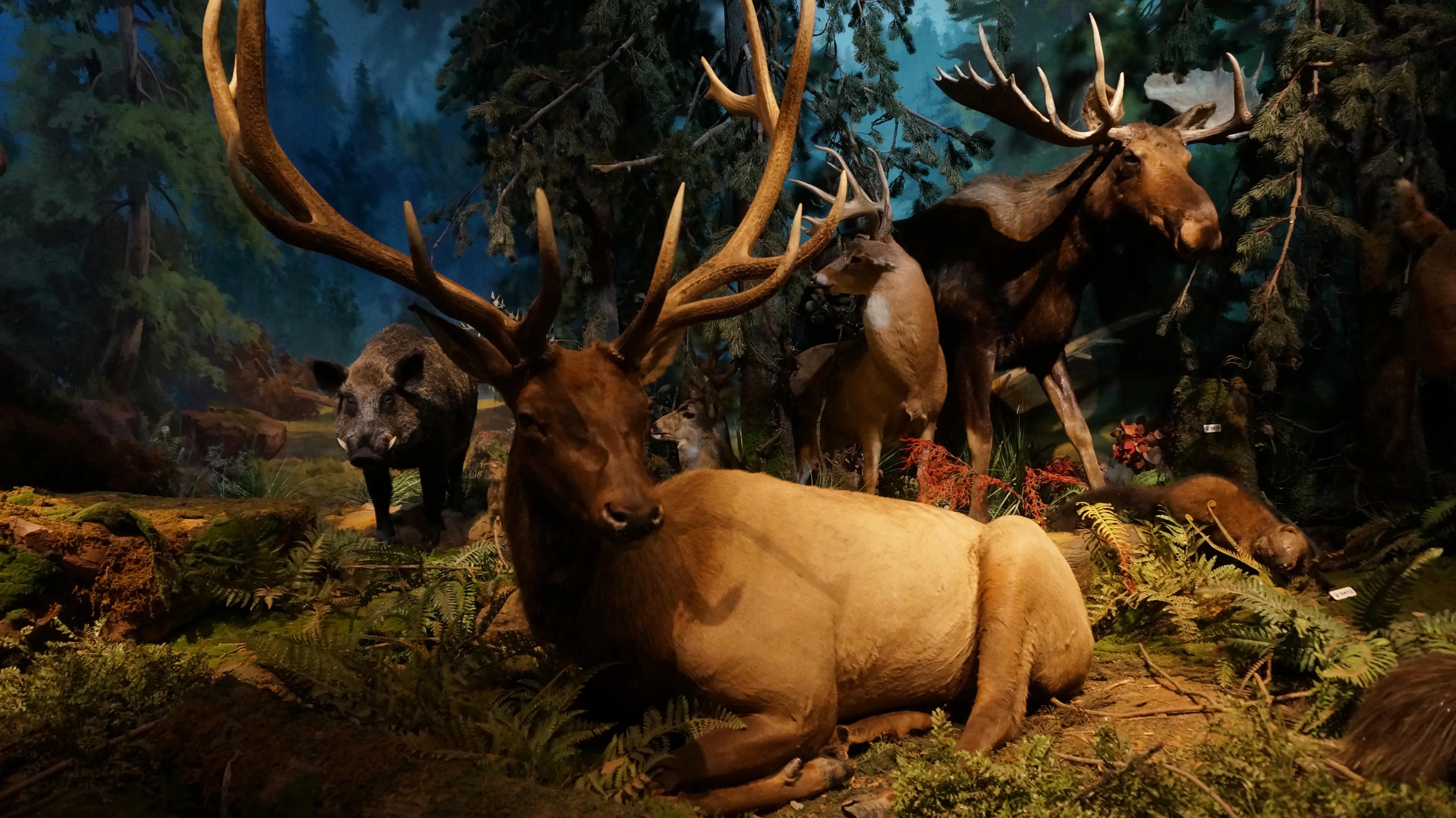 天津2天1晚游攻略夏天,天津2天1夜游攻略