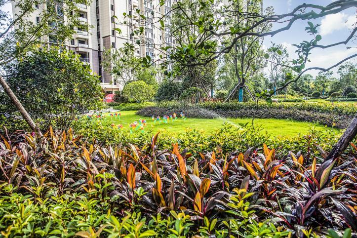 龙南县碧桂园城,碧桂园龙南