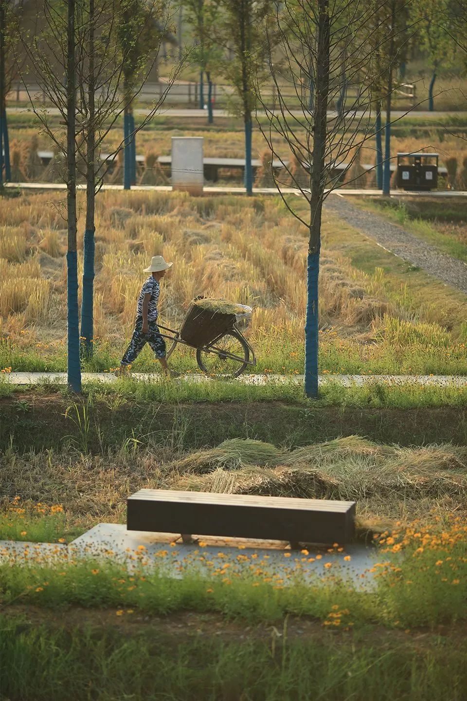 10个极具设计感的乡村改造,乡村创意改造景观