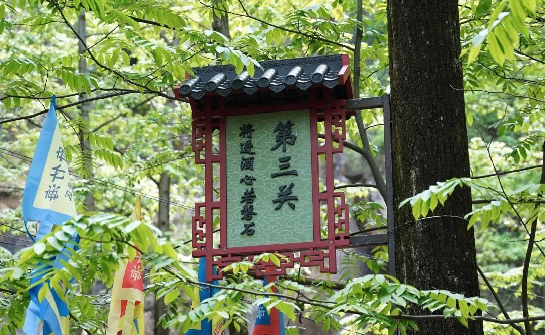 王府竹海实景剧本杀宣传片,王府竹海剧本杀价格