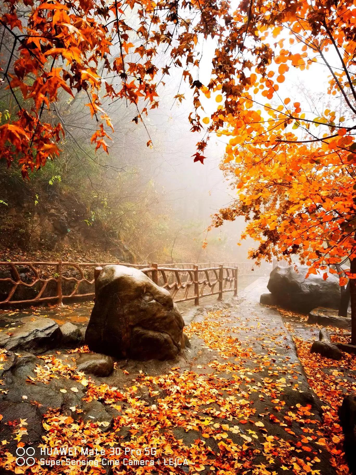 一个穷屌丝炒股逆袭的人生,一位草根炒股高手的故事