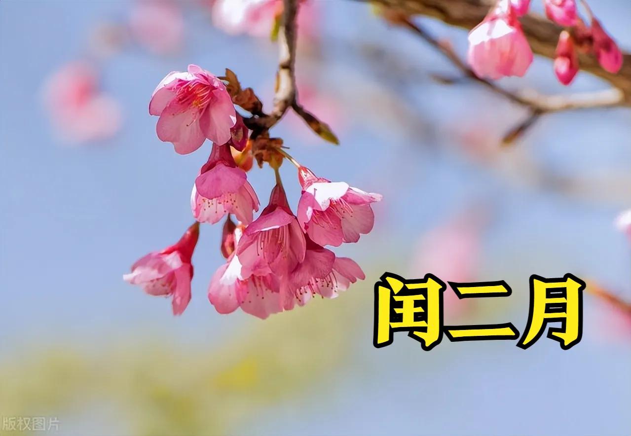 闰月要给家里人买鞋,闰二月可以给老人买鞋子吗