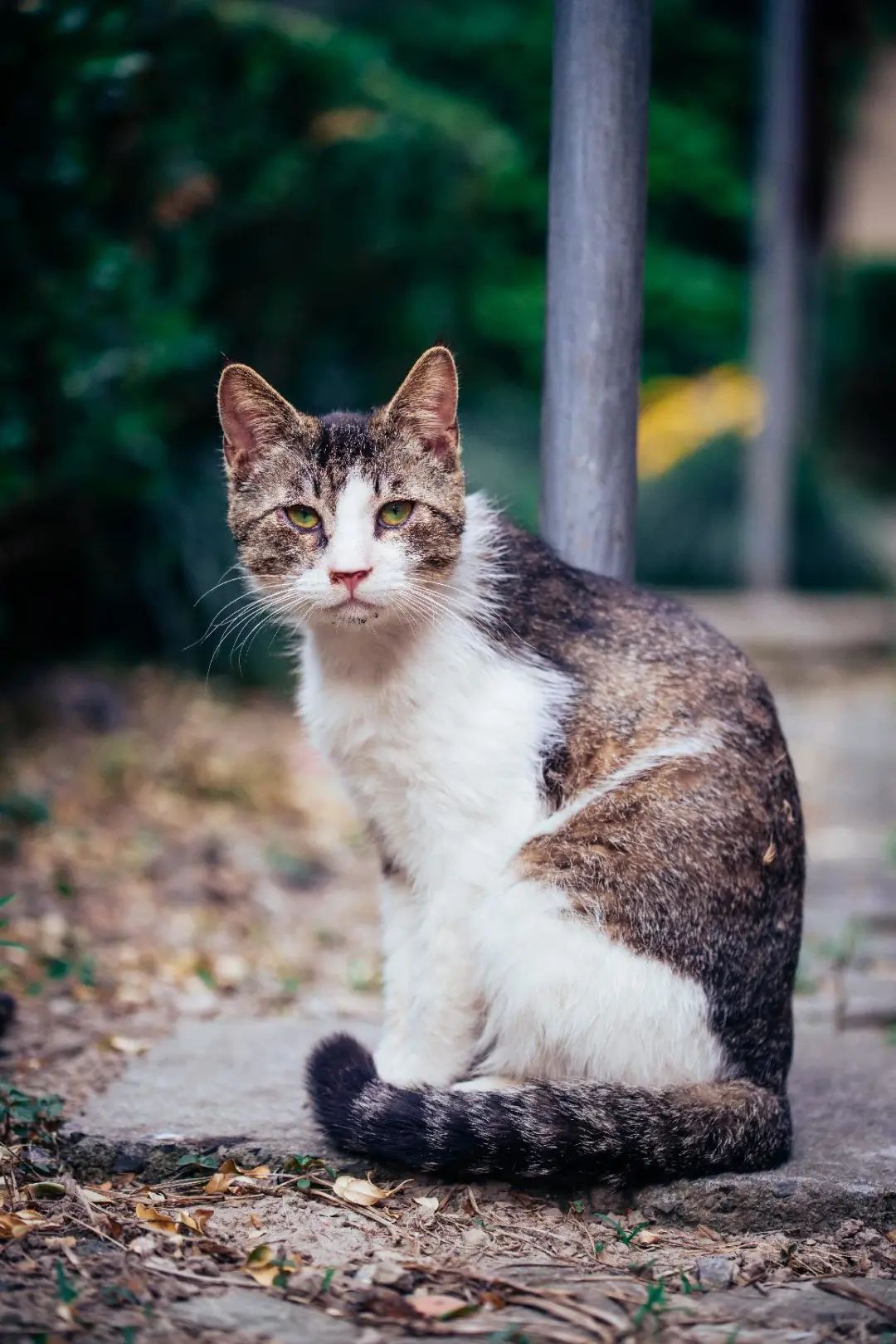 摄影新手推荐全画幅镜头,人像镜头跟长焦镜头该如何选择