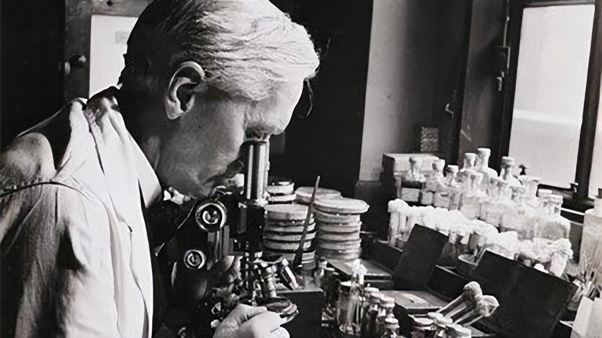 神医在世，亚历山大·弗莱明创造出神奇药，拯救了上万人的性命