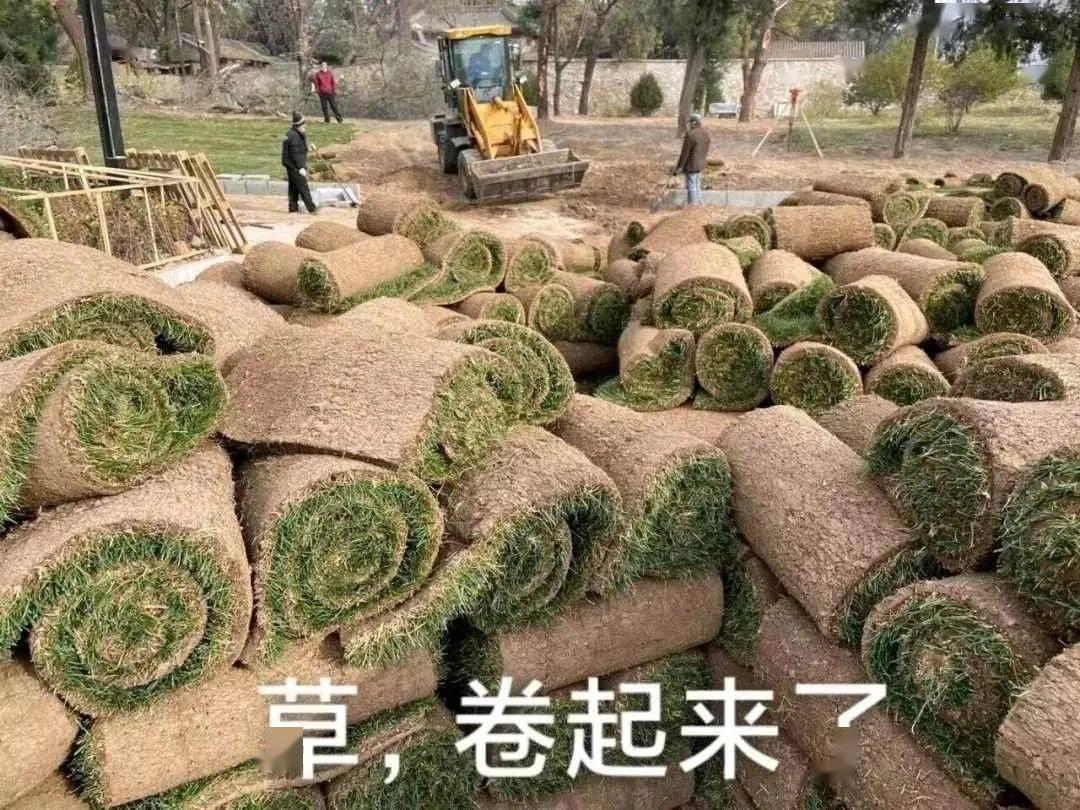 十大不建议入手的燃气热水器,十大不建议买的燃气热水器排行