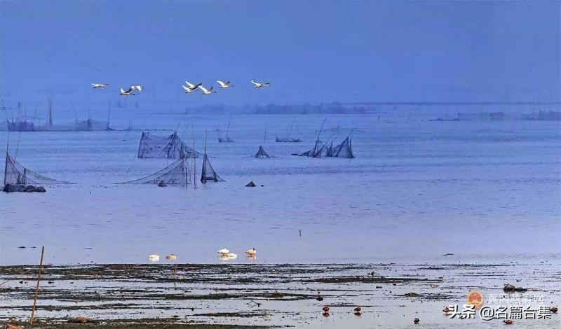 名篇金榜「赤壁诗苑」龙感湖诗词合集(第005期)