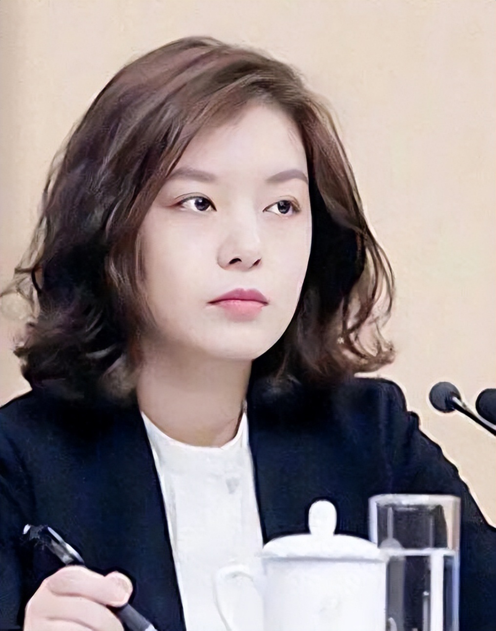 最美翻译官张京16分钟霸气发言,翻译官张京20分钟口译征服全世界