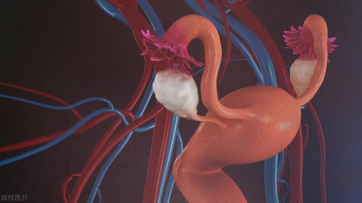 女性子宫切除后，还能“同房”吗？有哪些危害？一文说清