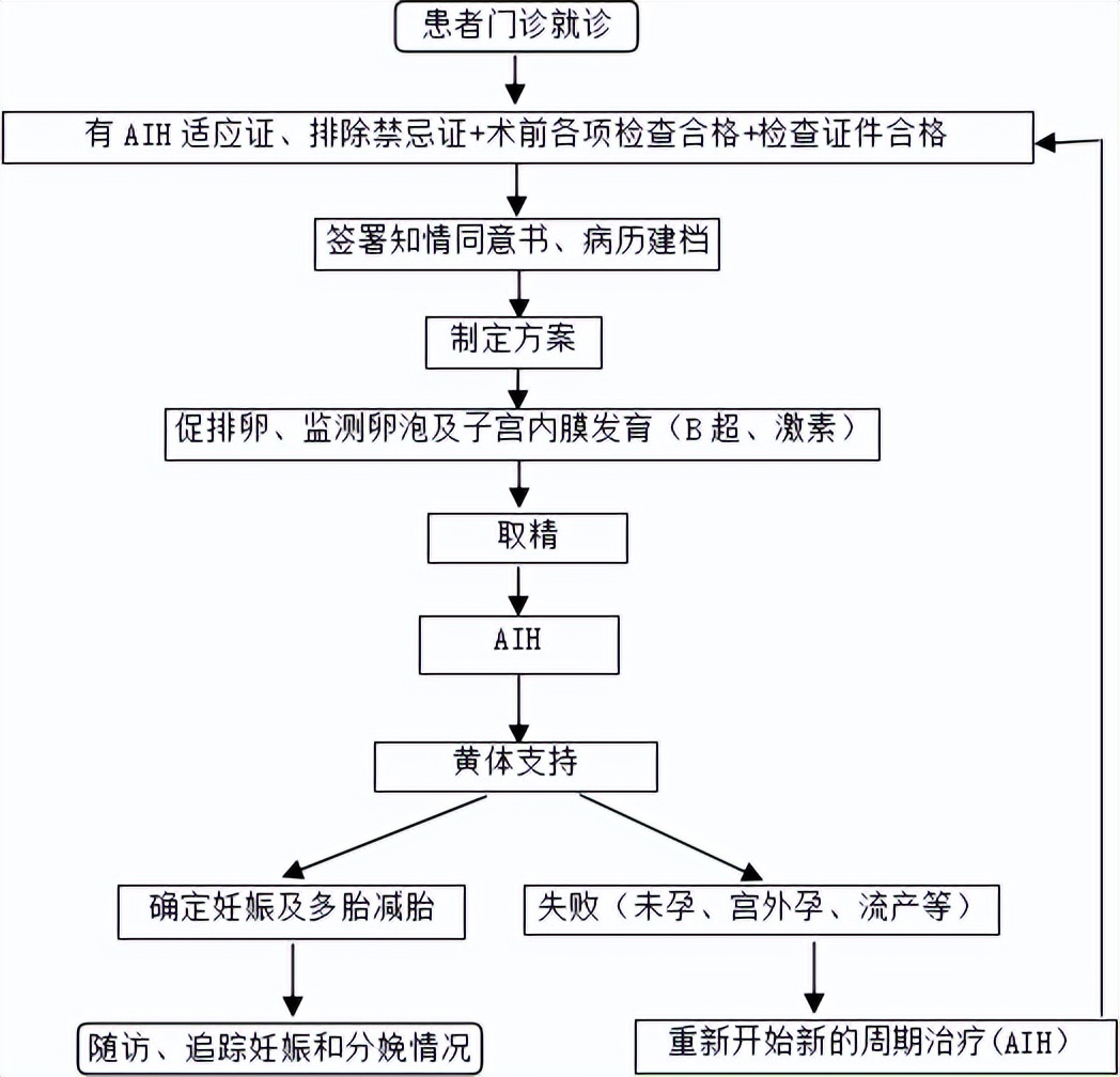 简述人工授精的意义,人工授精必须知道哪些事