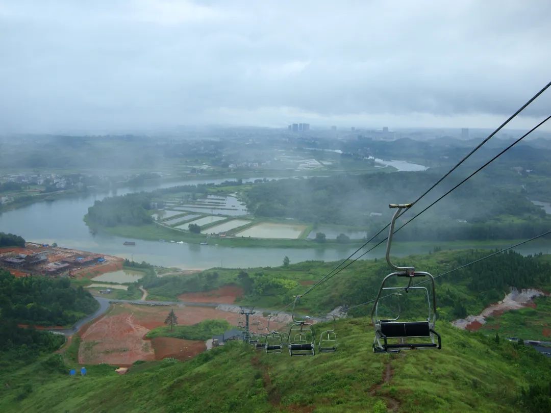 到咸宁看国宝过大年,离家45年的国宝回湖北咸宁过年