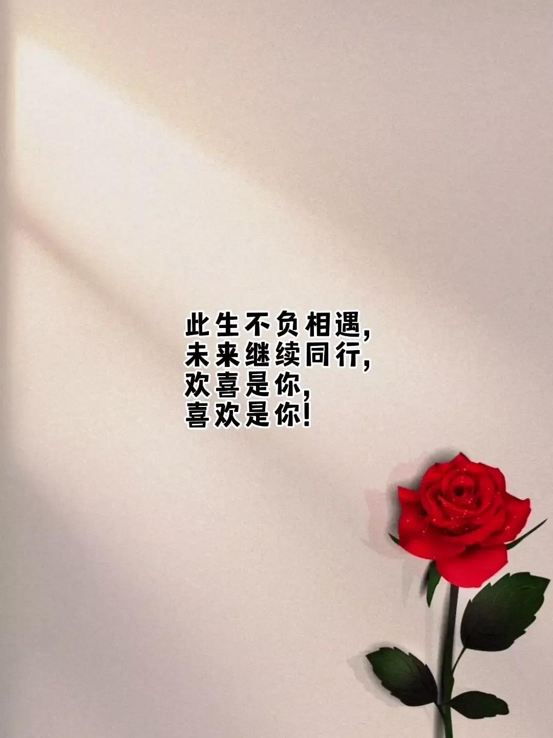 爱情表白文案高级有深度,最让人拒绝的表白文案图片