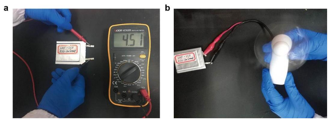 锂基电池在应用中，钴酸锂发生电化学反应时，表面颗粒有什么变化