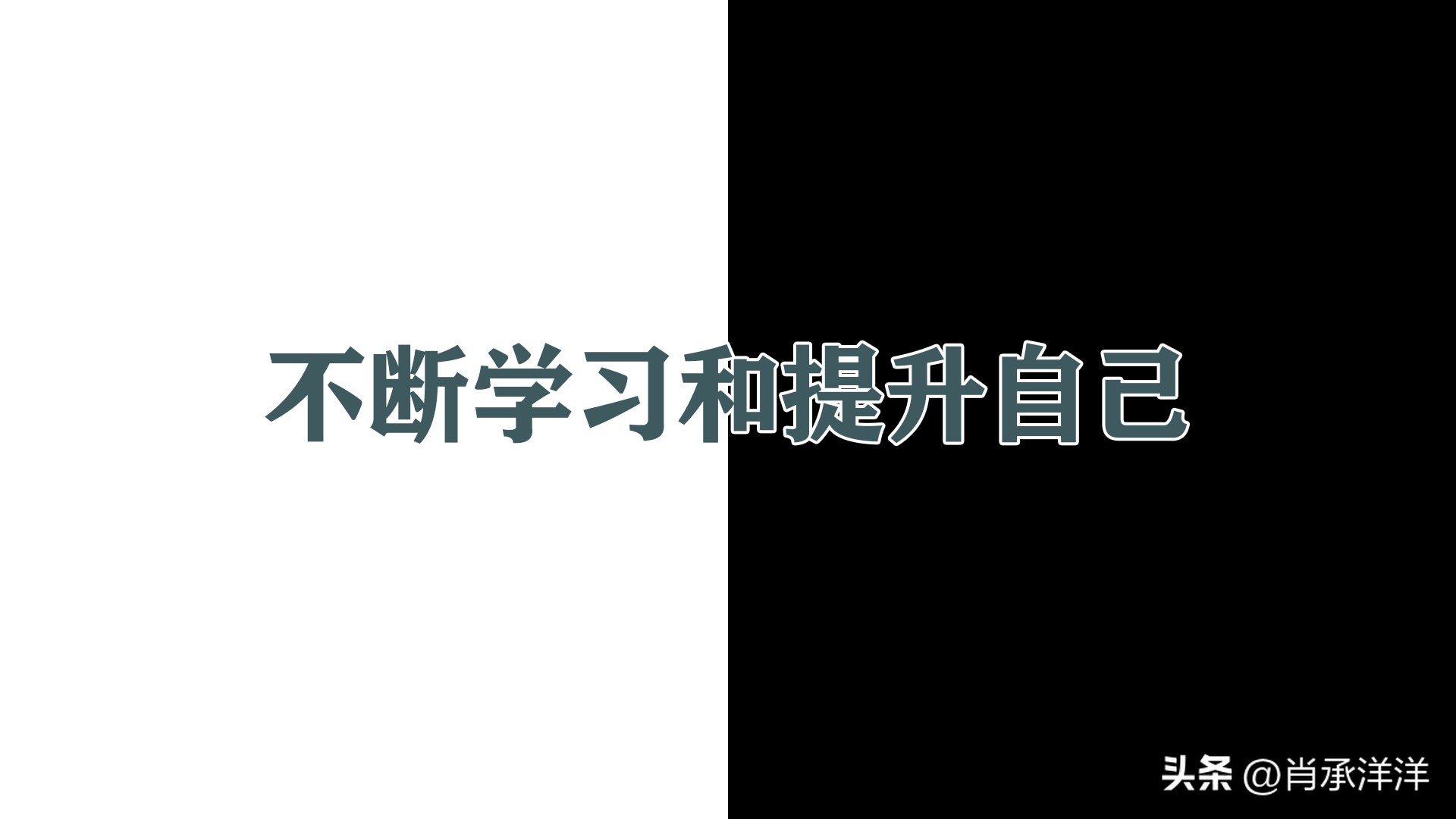 谈谈专业以及对未来职业的规划,结合专业谈谈自己的就业规划