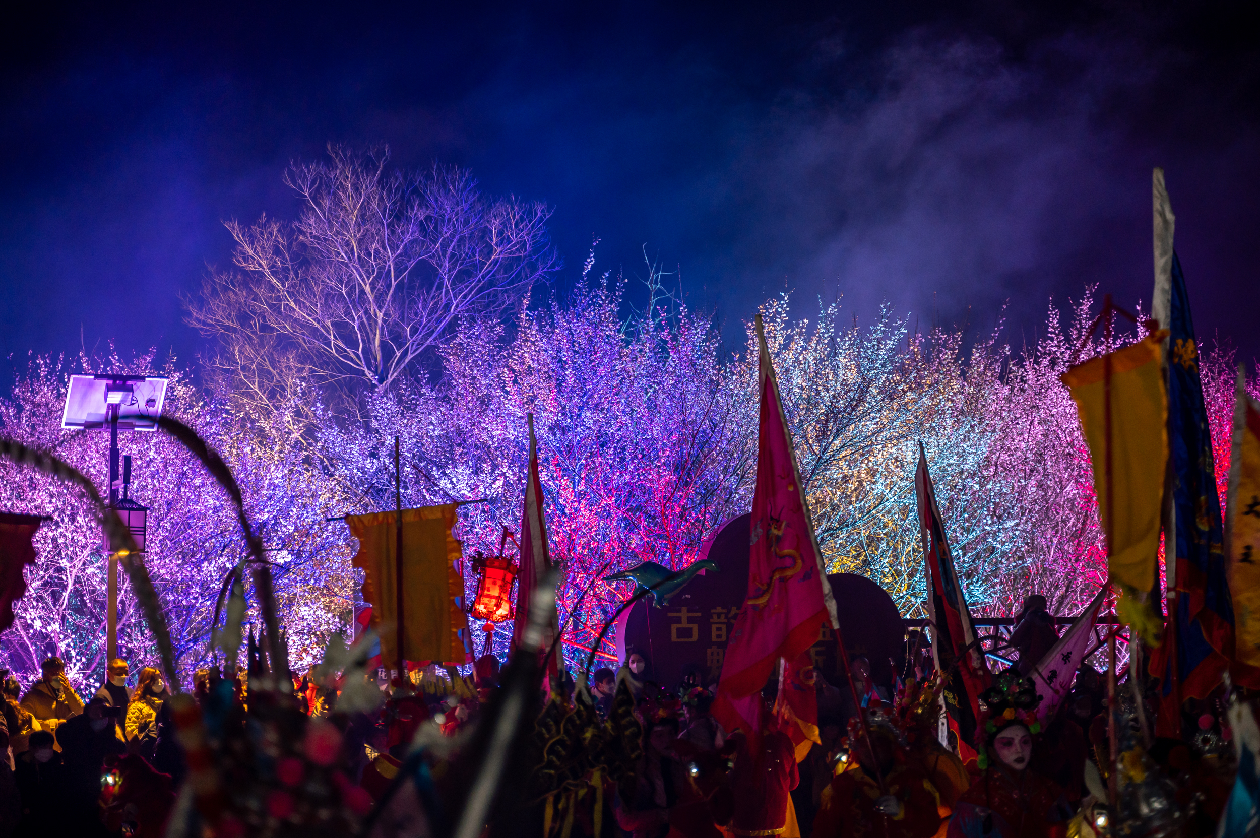 金陵梅花山,南京梅花山赏梅