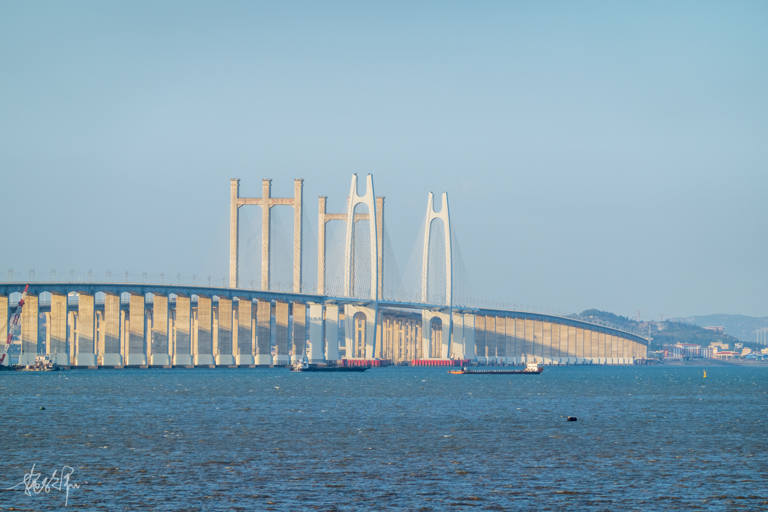 我的2022年度报告,我的2022原版