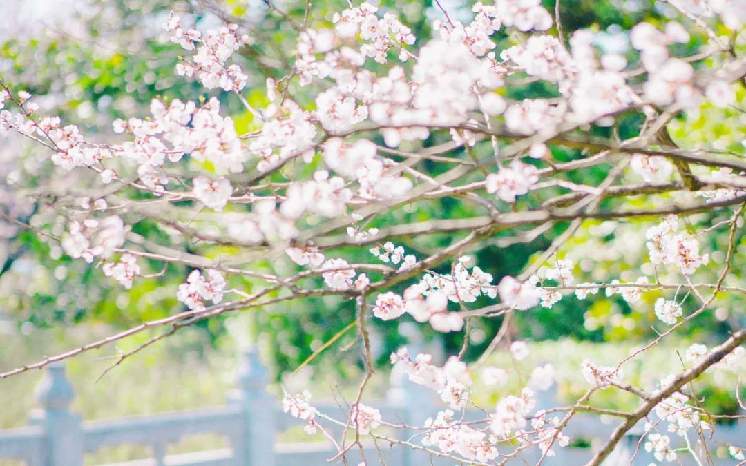 励志文案简短干净长篇,励志简短干净的签名短句