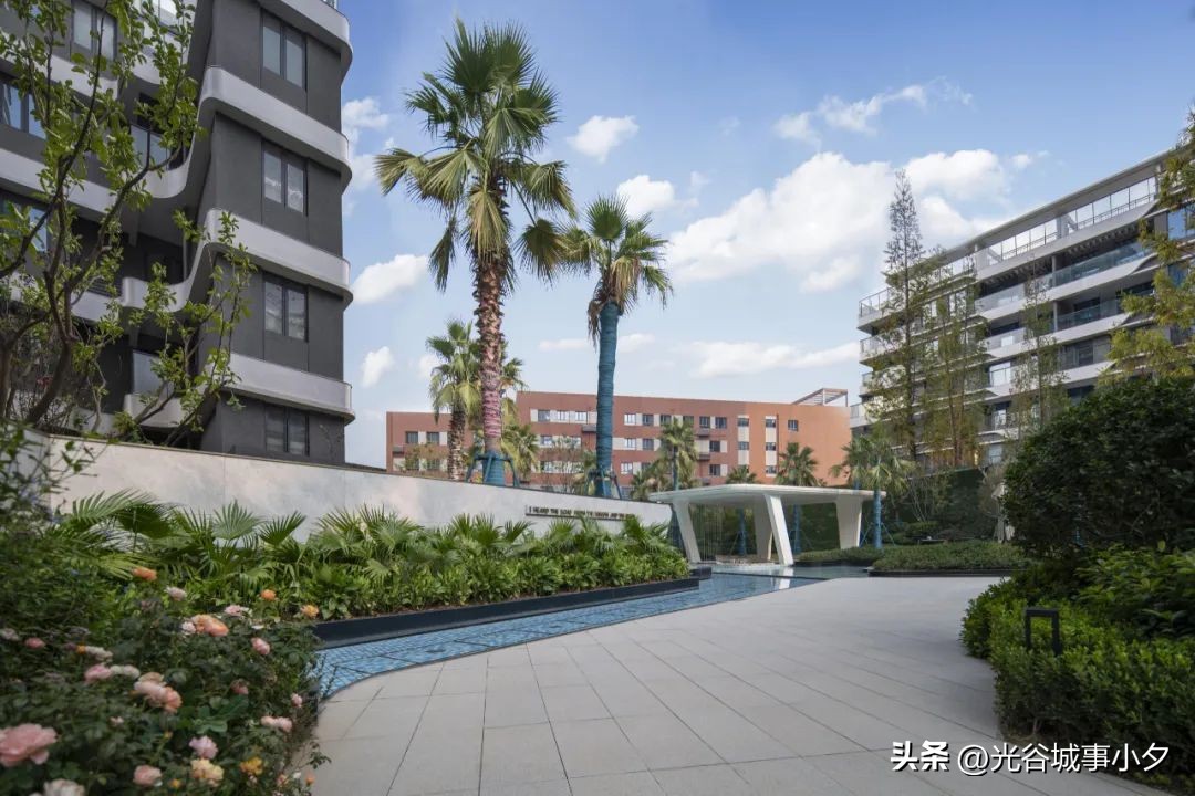 杀疯了1完整版免费观看,杀疯了1完整版免费