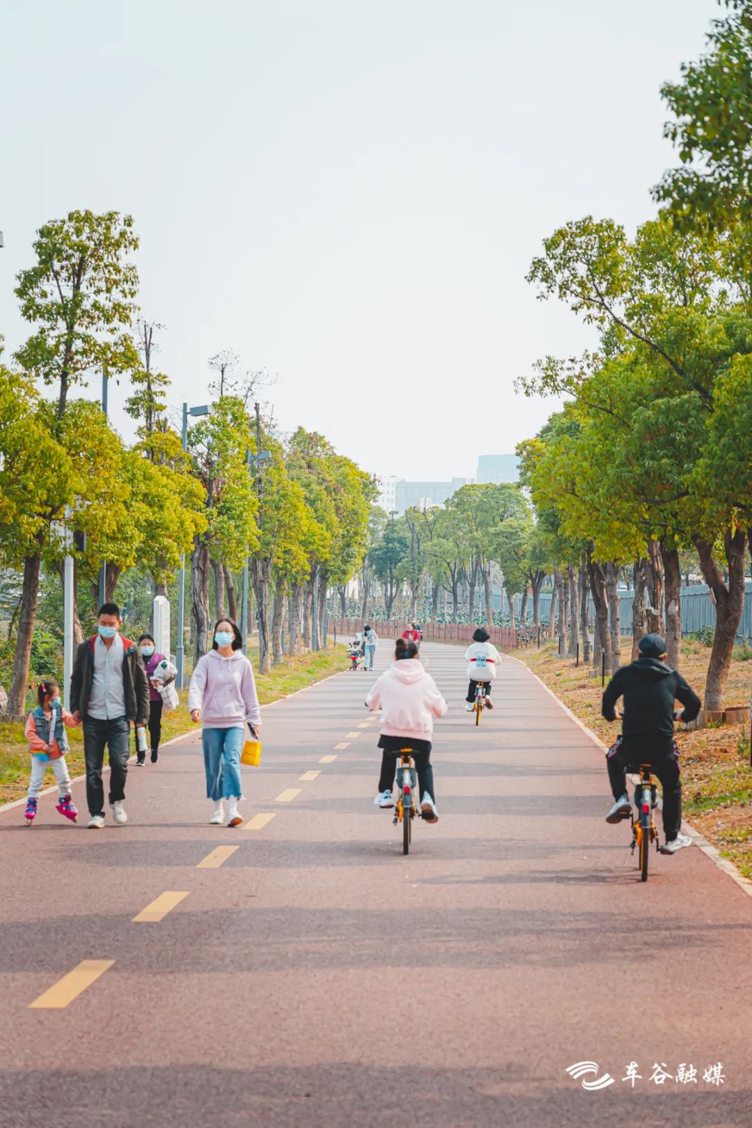 淘金山骑行绿道和东湖骑行绿道,周末绿道骑行一路都是美景