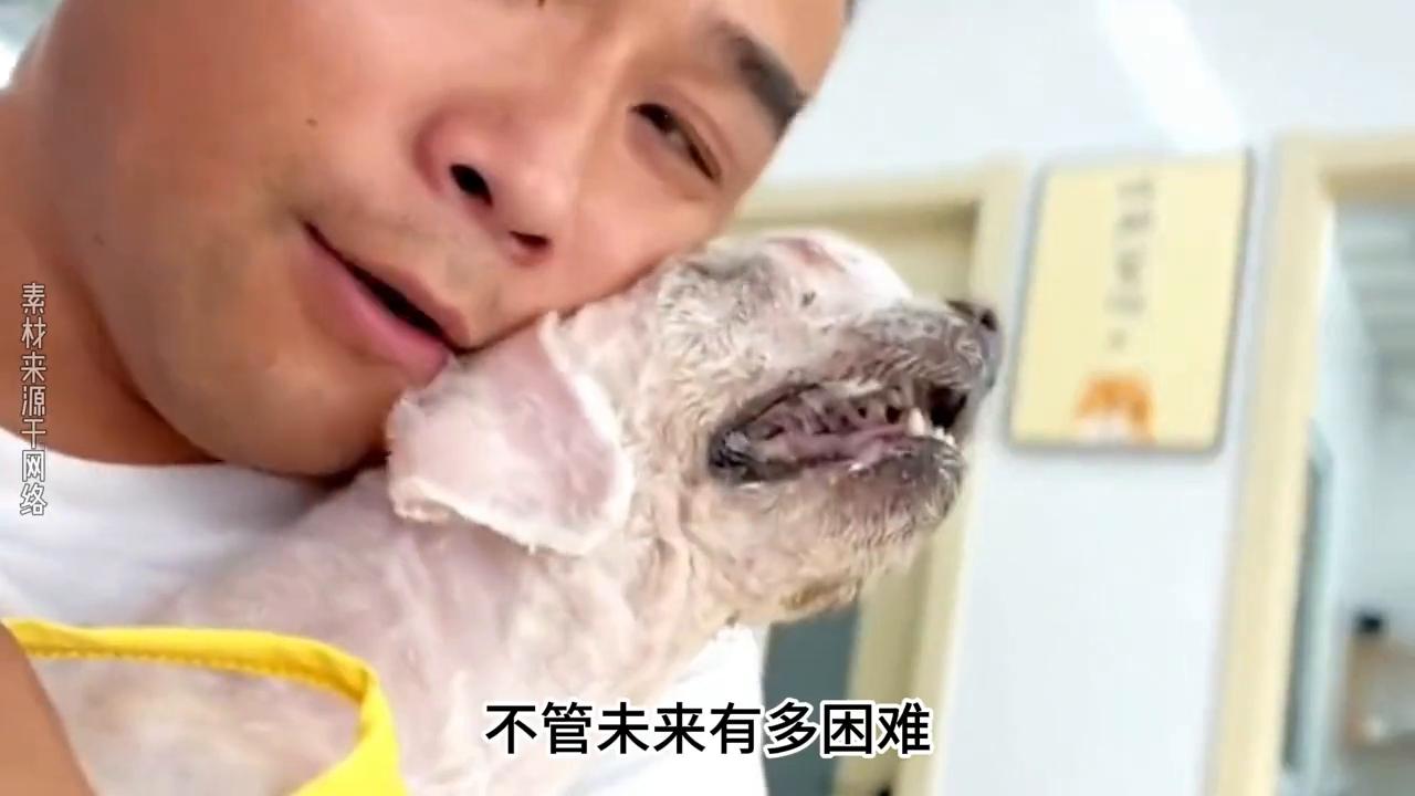 狗狗头上破了长了个大肉瘤,狗狗腿上长了肿瘤被主人抛弃