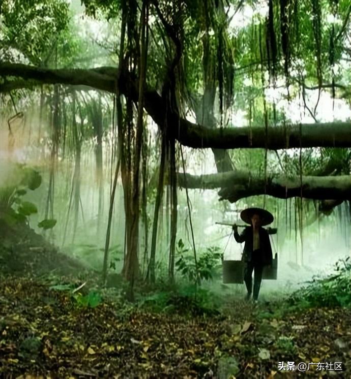 春季国内观鸟热门地,这份观鸟地图请收好