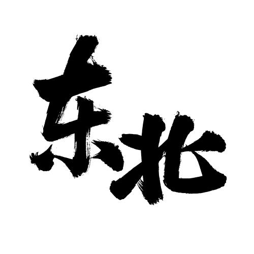 东北为什么发展得这么快,东北为什么发展得快