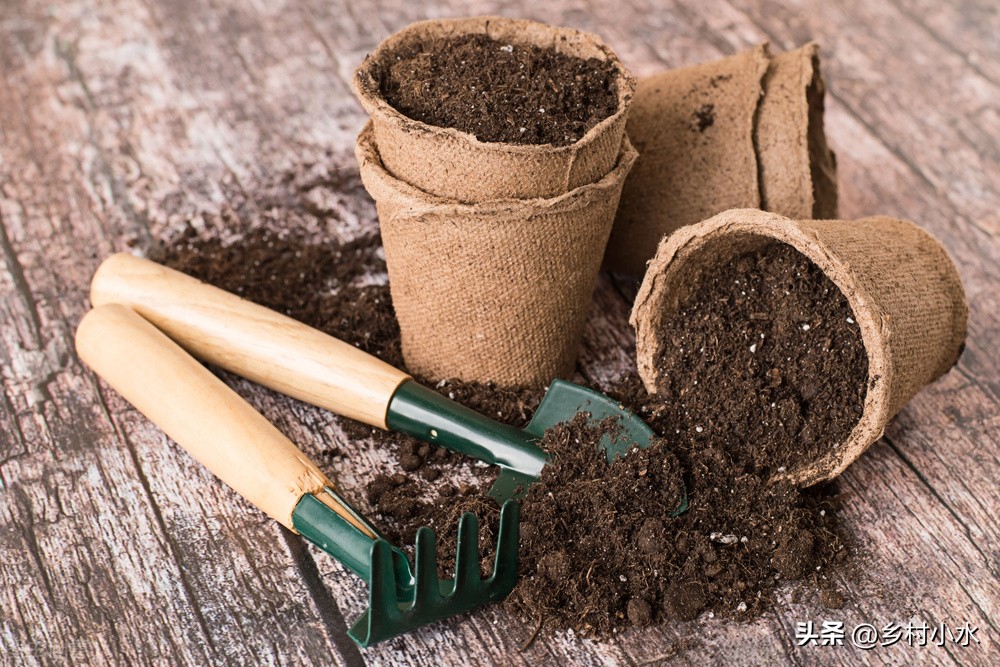 辣椒育苗要多久种植时间和方法,春季辣椒育苗方法和时间
