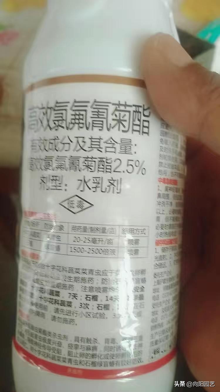 多肉种植药剂,多肉驱虫药剂