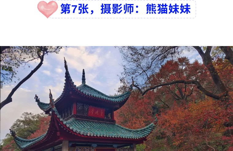 36个技巧助您手机拍大片,学会这7点轻松拍大片