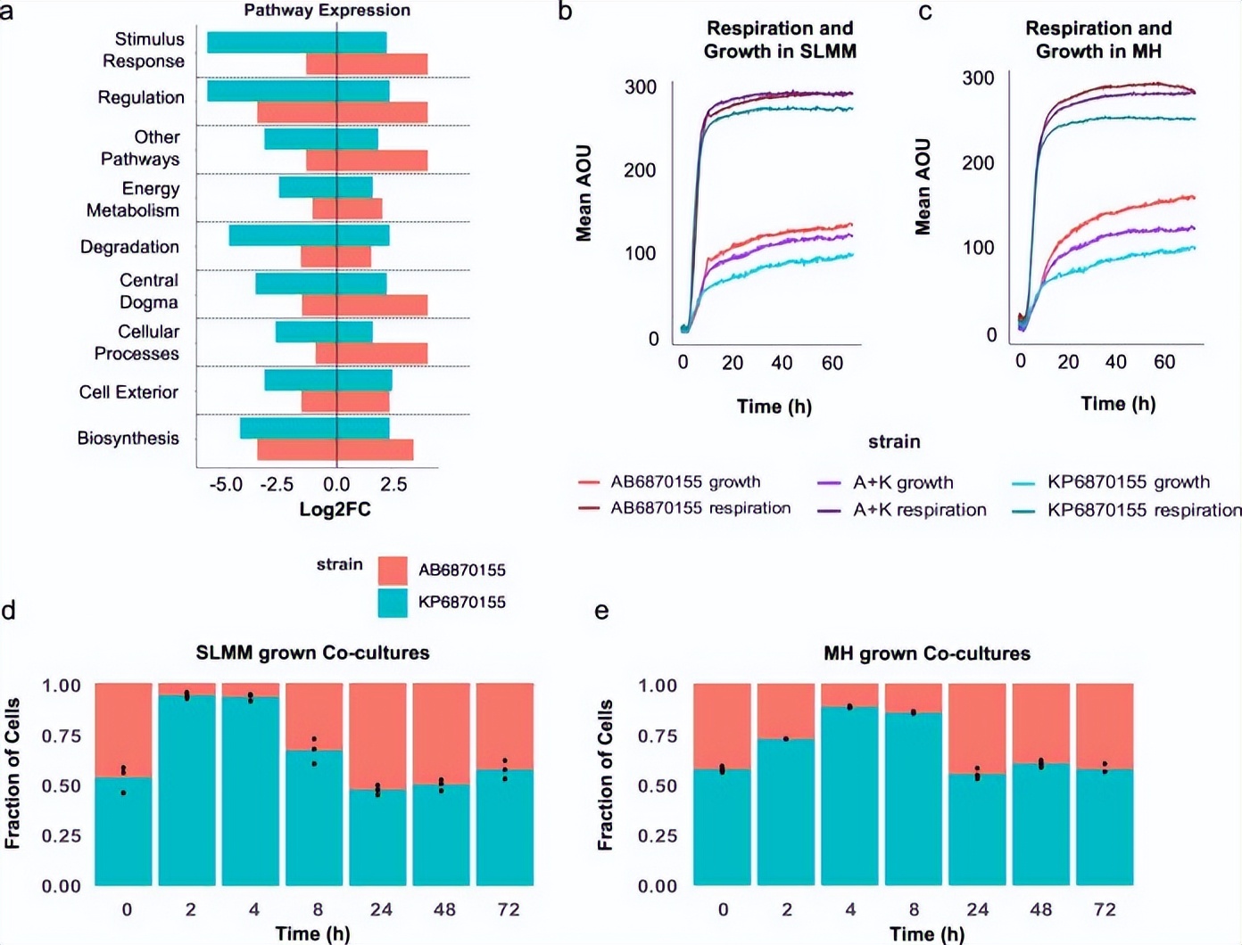 急思广益|研究发现鲍曼和肺克协同机制促进二者共存