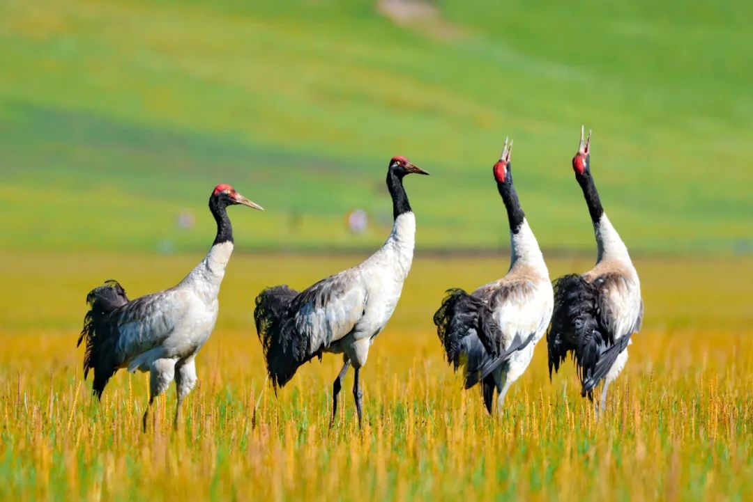 仅0.01%的人来过！这8条又美又虐又小众的极限风光，值得一去！