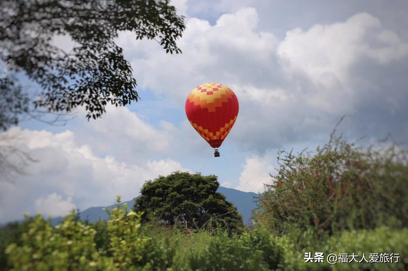 云南西双版纳热带植物园官网,西双版纳植物园全面讲解