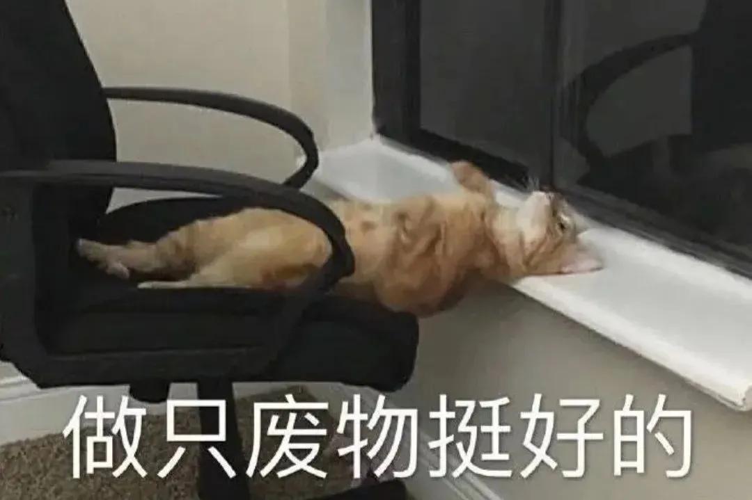 炒股和买球的区别,买球和买股票的区别