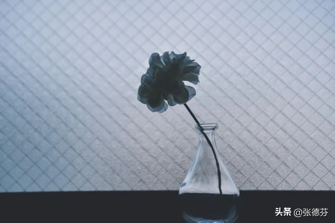 二婚能不能幸福,主要看这3点