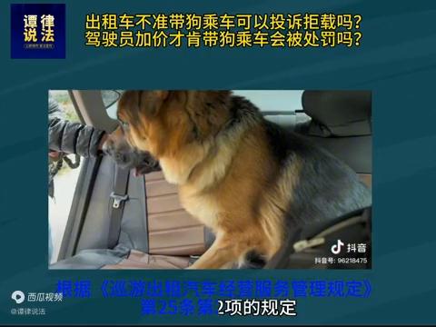 滴滴车因为带狗拒载还要收费,乘客带狗滴滴拒载被投诉