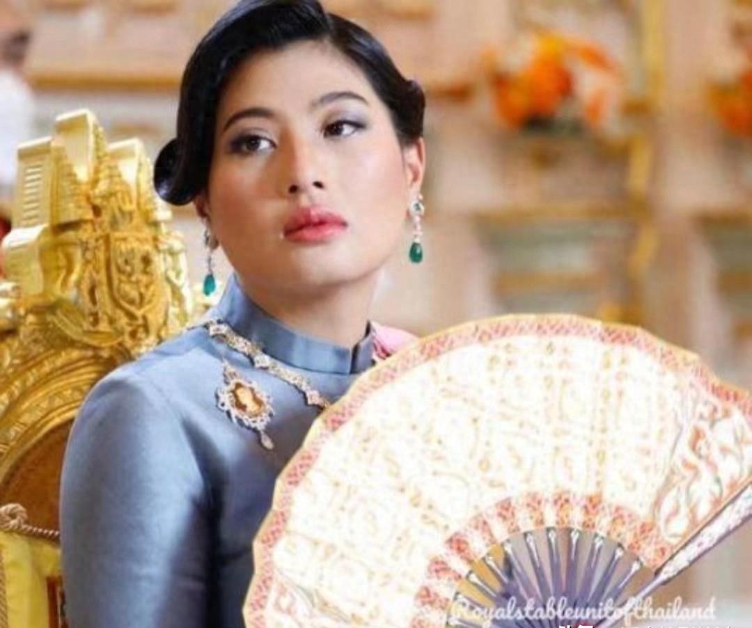 神兽梵真福气未尽,勋章授予引谣言,府中大喜公主宠