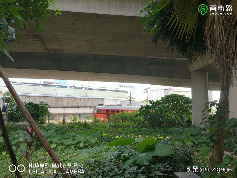 深圳徒步路线从梧桐山到盐田,深圳十峰大南山徒步最佳路线