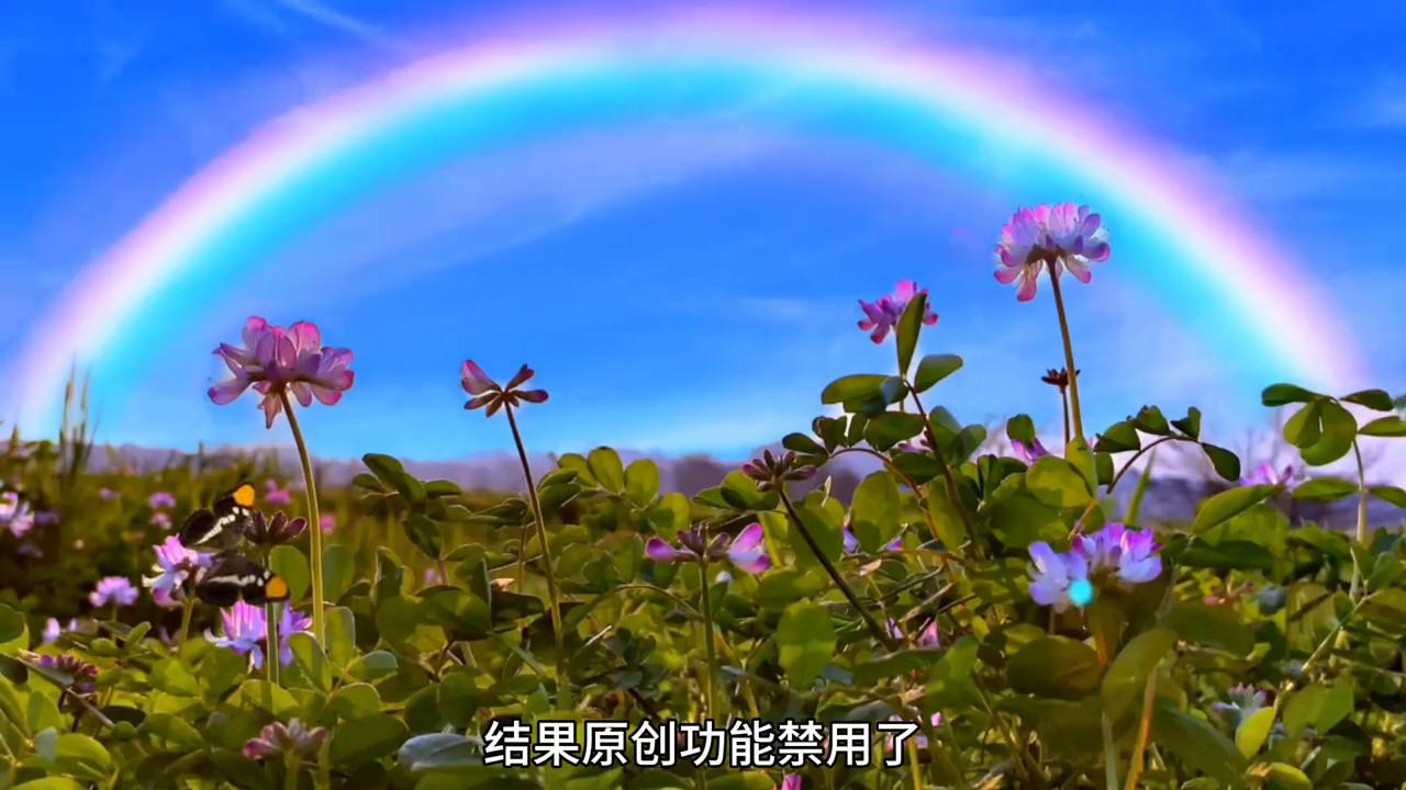 参加中视频计划违规后怎么办,参加中视频计划还会侵权吗