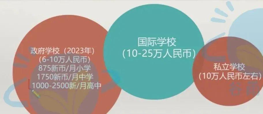从上海国际学校离职后，我带儿子去新加坡继续“卷”，值得吗？