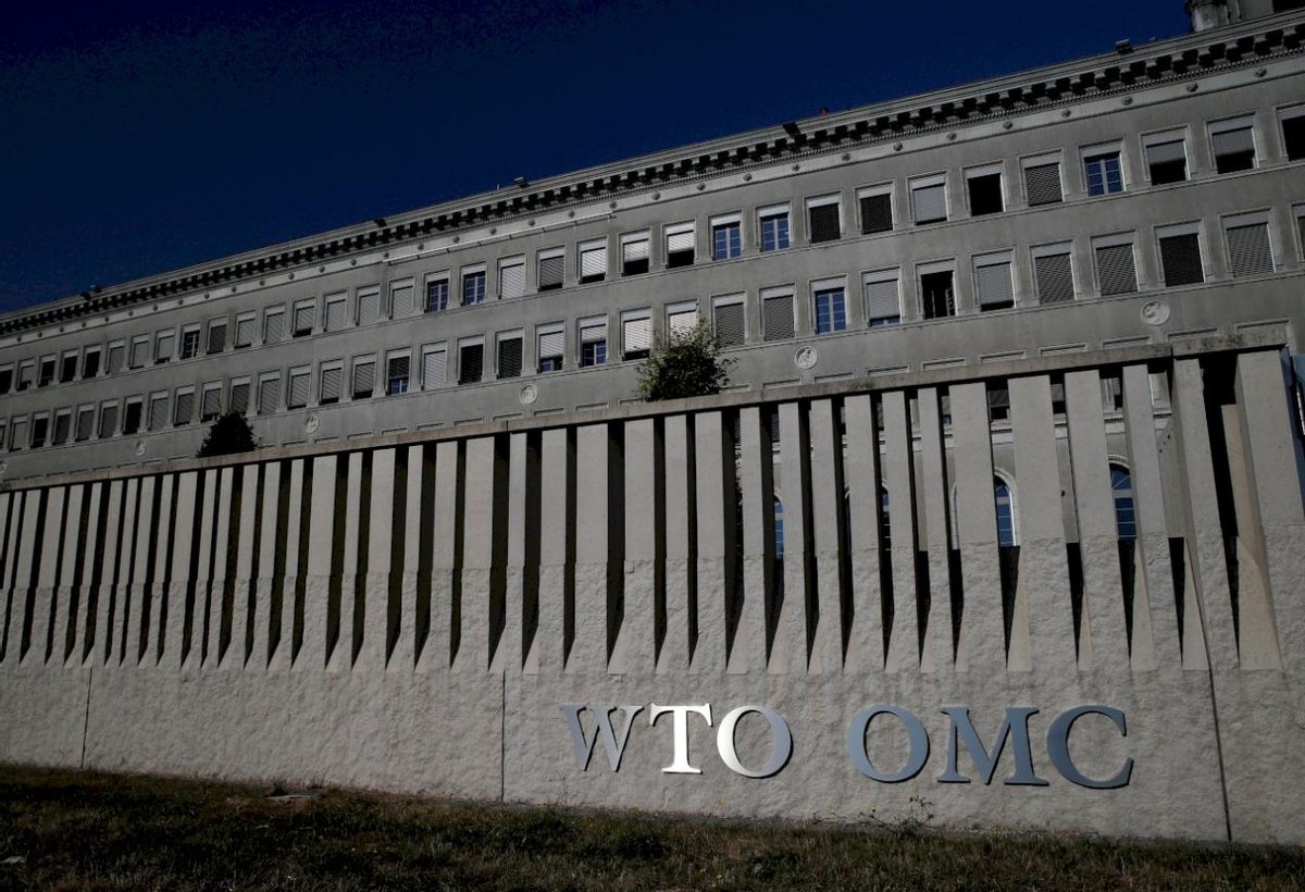 台湾名嘴说台湾吃凤梨,台湾名嘴谈吃18公斤凤梨