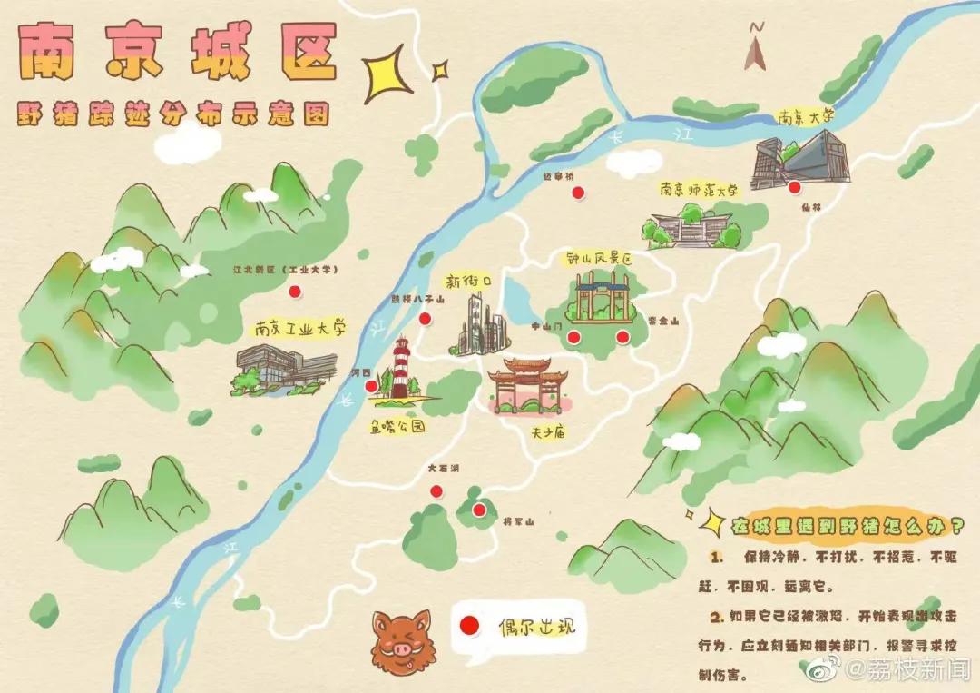 南京盐水鸭真的很好吃吗,在南京你能品尝到的小吃