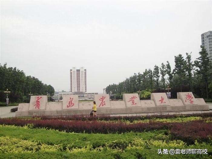 青岛理工大学与青科大,青岛理工和青岛科技