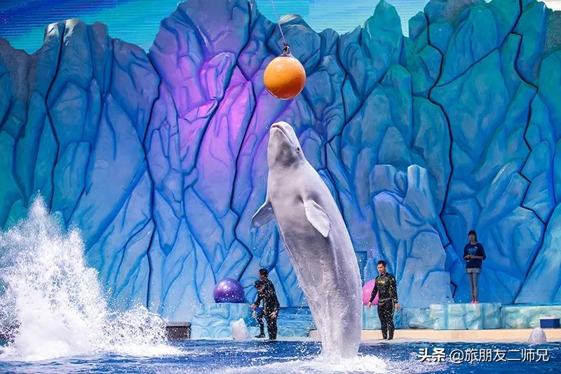 去珠海长隆海洋王国攻略三天两夜,珠海长隆海洋王国3天旅游攻略