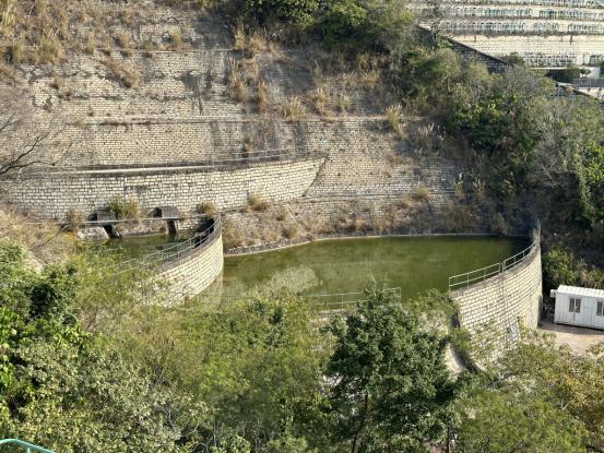 香港名媛碎尸案曝光,香港名媛碎尸案抓捕