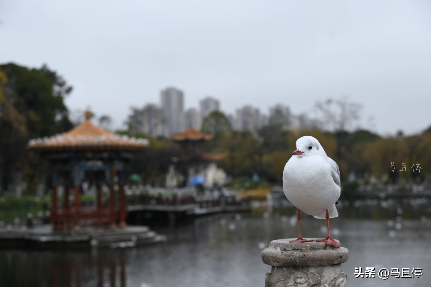 昆明滇池南岸古迹,昆明滇池哪个景点好
