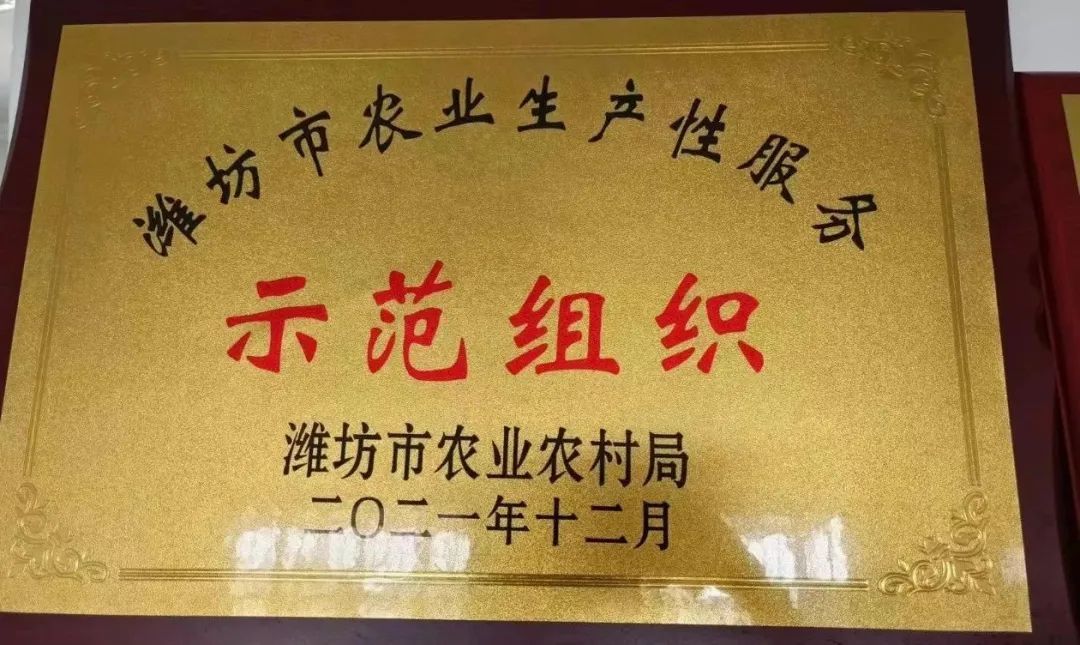 肉鸭养殖乡村振兴,肉鸭养殖与乡村振兴