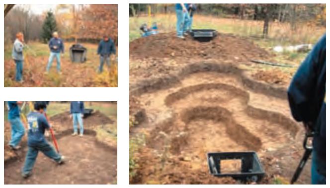 生态缸为啥不长藻不出绿水,生态缸为什么养不活虾