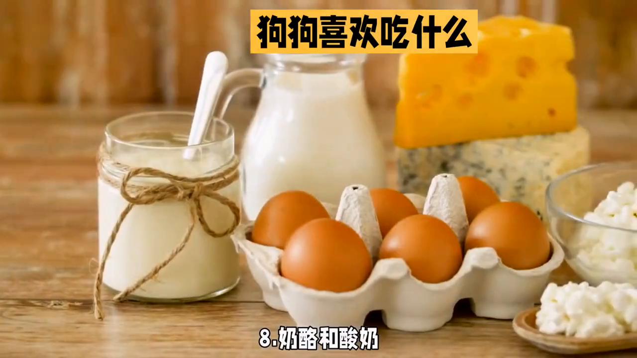 狗狗喜欢吃的一些美食,狗狗看到喜欢的食物