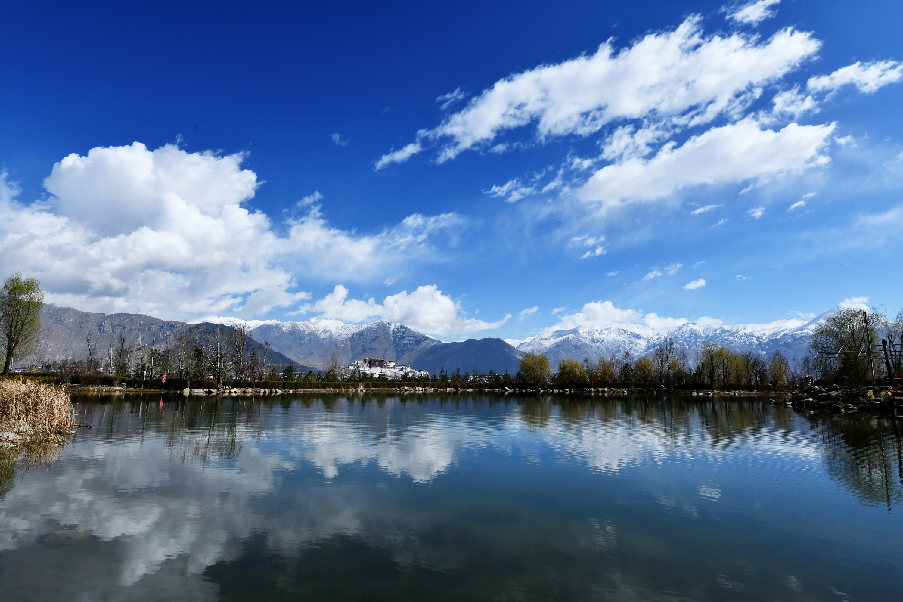 我的林芝一日游攻略,林芝看桃花西藏之旅