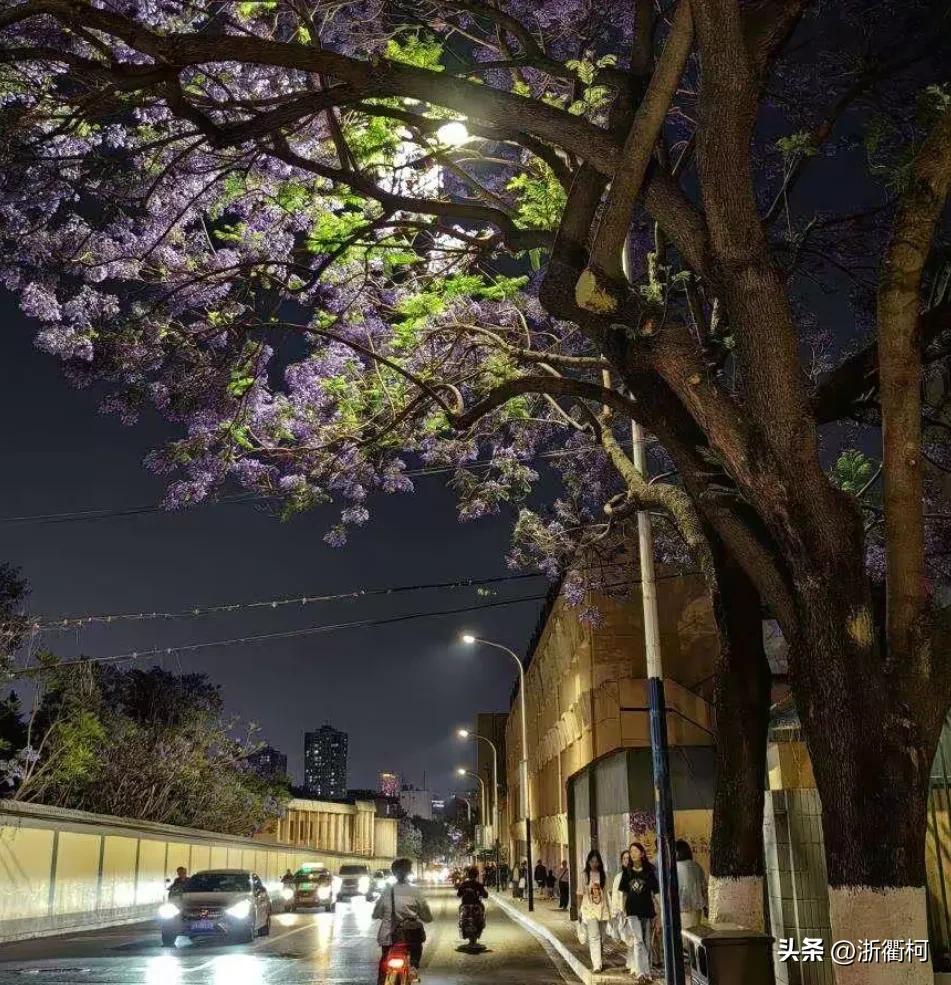 华为旗舰新机p60,华为发布新机p60系列欧洲价格