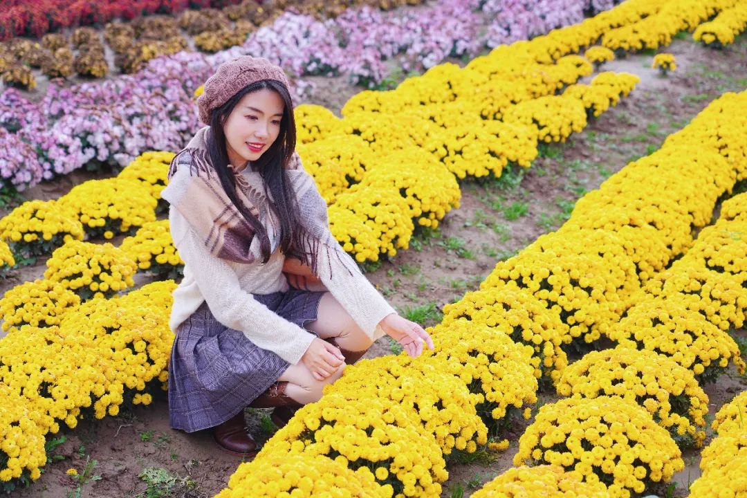 江苏盐城藏着一个安逸县城,为了吃都值得去一趟!知道的人太少